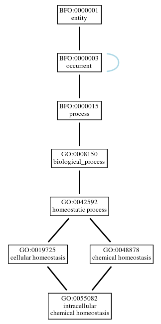 Graph of GO:0055082