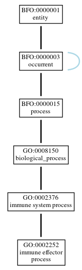 Graph of GO:0002252