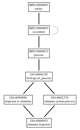 Graph of GO:0006955