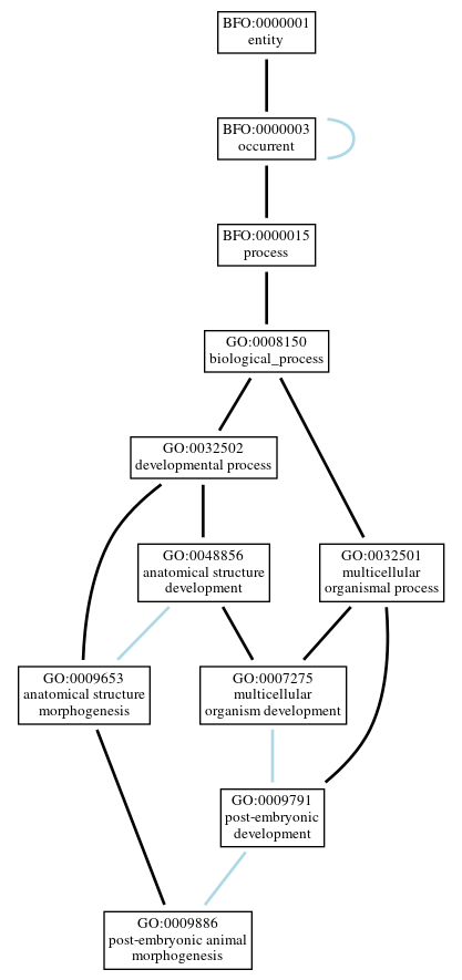 Graph of GO:0009886