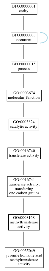 Graph of GO:0035049
