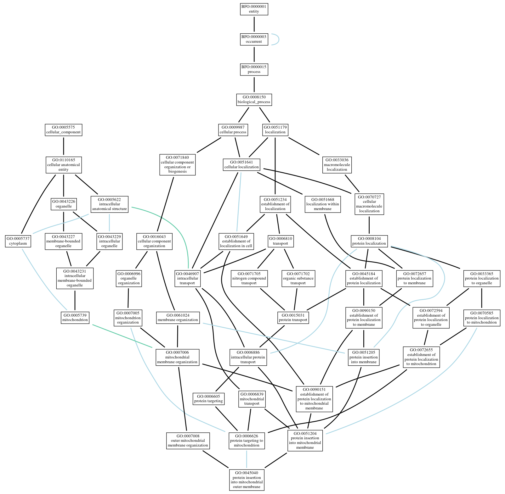 Graph of GO:0045040