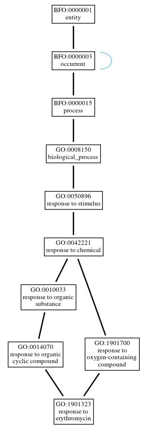 Graph of GO:1901323