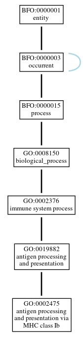 Graph of GO:0002475