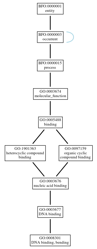 Graph of GO:0008301
