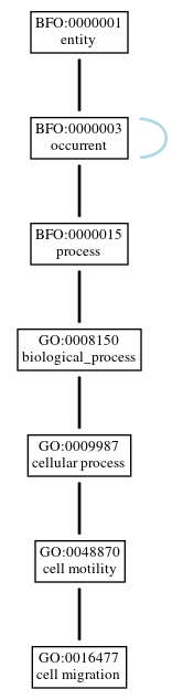 Graph of GO:0016477