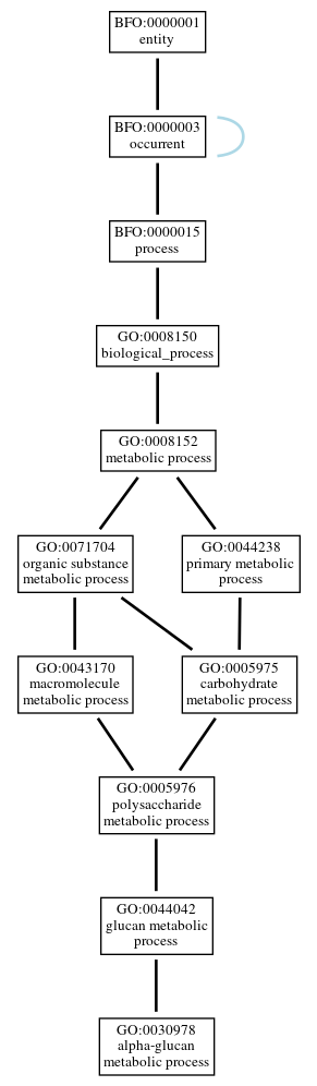 Graph of GO:0030978