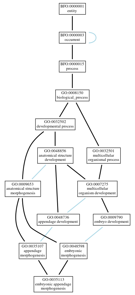 Graph of GO:0035113