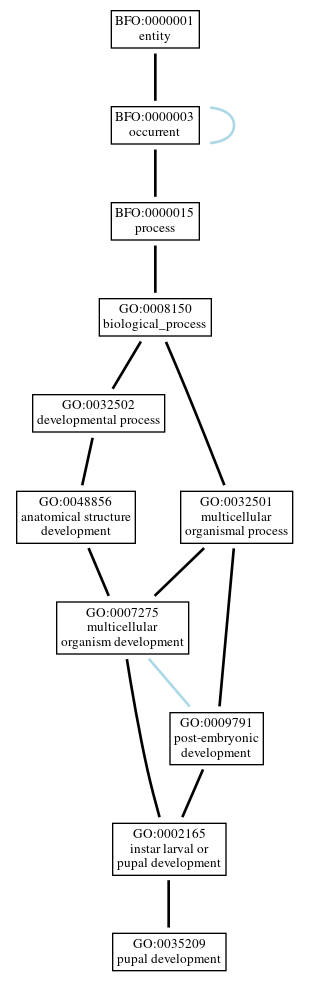 Graph of GO:0035209