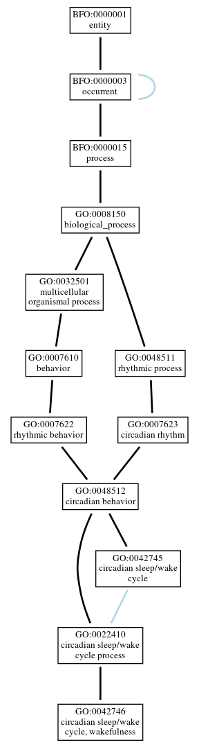 Graph of GO:0042746