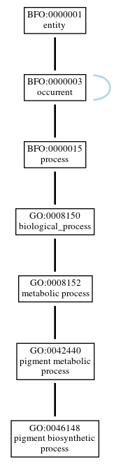 Graph of GO:0046148