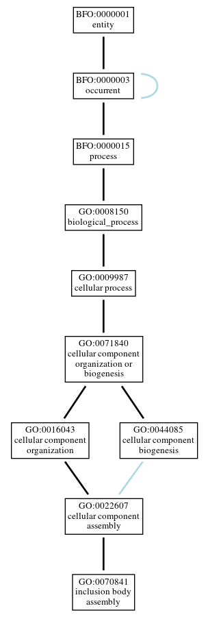 Graph of GO:0070841