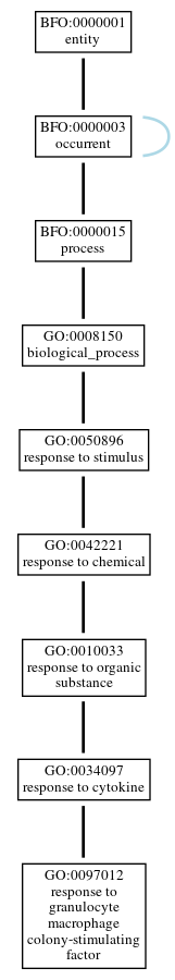 Graph of GO:0097012