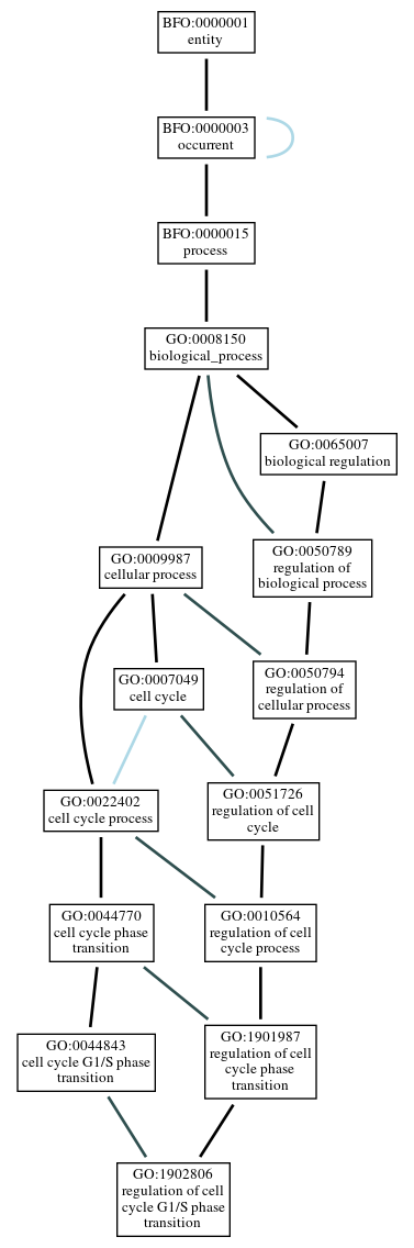 Graph of GO:1902806