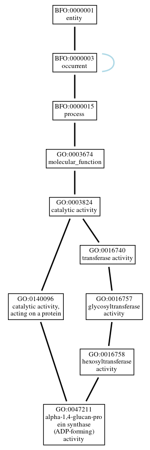 Graph of GO:0047211