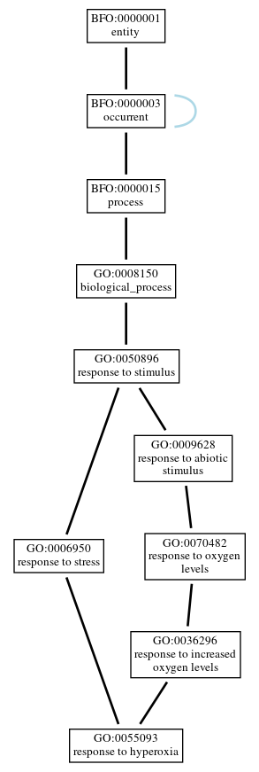 Graph of GO:0055093