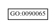 Graph of GO:0090065
