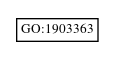 Graph of GO:1903363