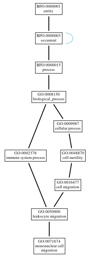 Graph of GO:0071674