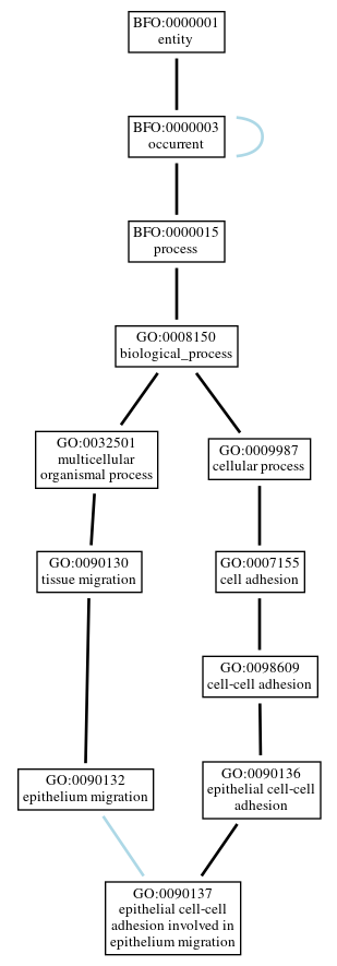 Graph of GO:0090137