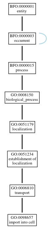 Graph of GO:0098657