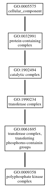 Graph of GO:0009358