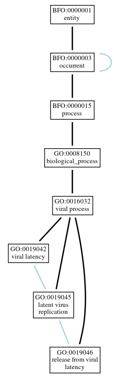 Graph of GO:0019046