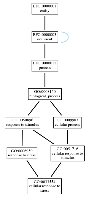 Graph of GO:0033554
