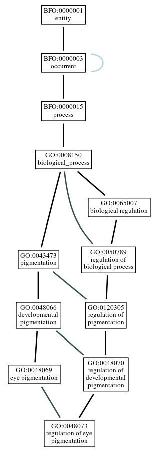 Graph of GO:0048073