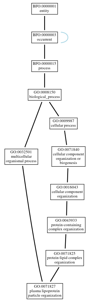 Graph of GO:0071827