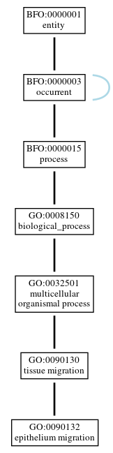 Graph of GO:0090132