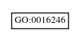 Graph of GO:0016246