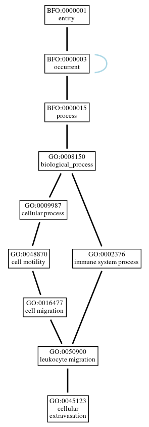 Graph of GO:0045123