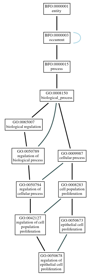 Graph of GO:0050678