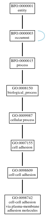 Graph of GO:0098742