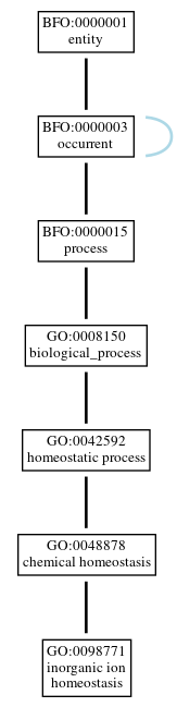 Graph of GO:0098771