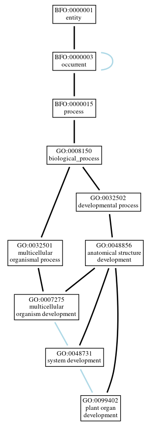 Graph of GO:0099402