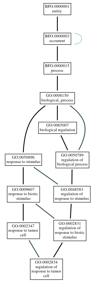 Graph of GO:0002834
