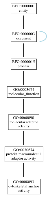 Graph of GO:0008093