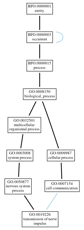 Graph of GO:0019226