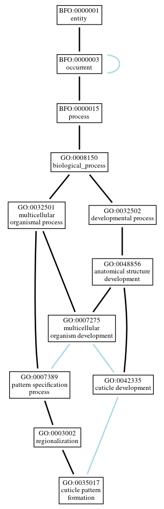 Graph of GO:0035017
