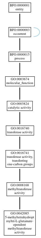 Graph of GO:0042085