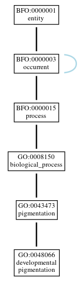 Graph of GO:0048066