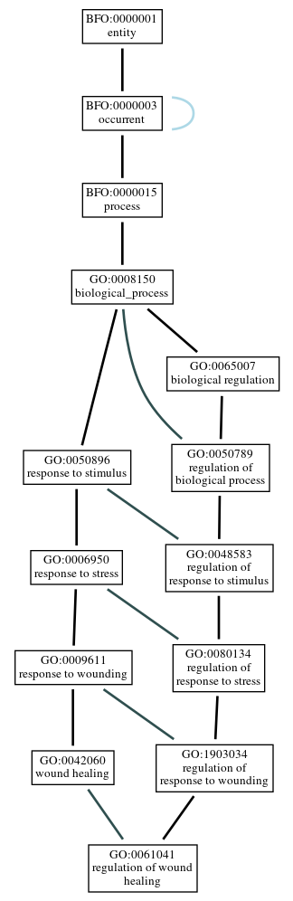 Graph of GO:0061041
