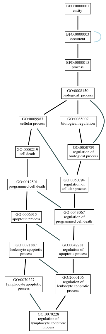 Graph of GO:0070228