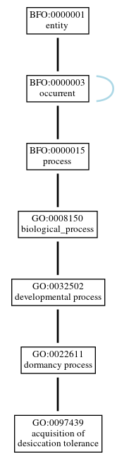 Graph of GO:0097439