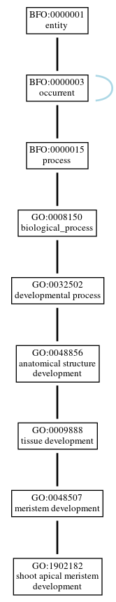 Graph of GO:1902182