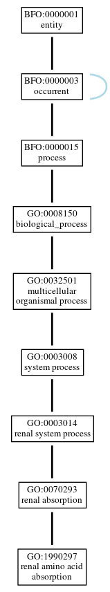 Graph of GO:1990297