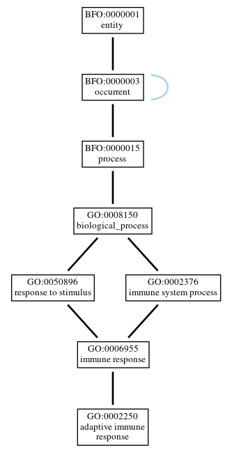 Graph of GO:0002250