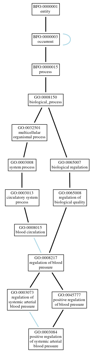 Graph of GO:0003084